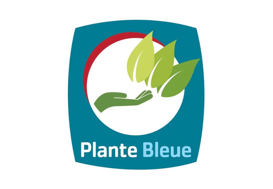 Logo plante bleue