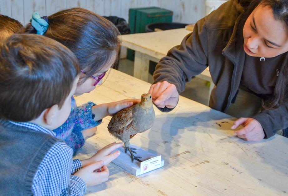 Activités pour enfants à la ferme pédagogique de Sartrouville