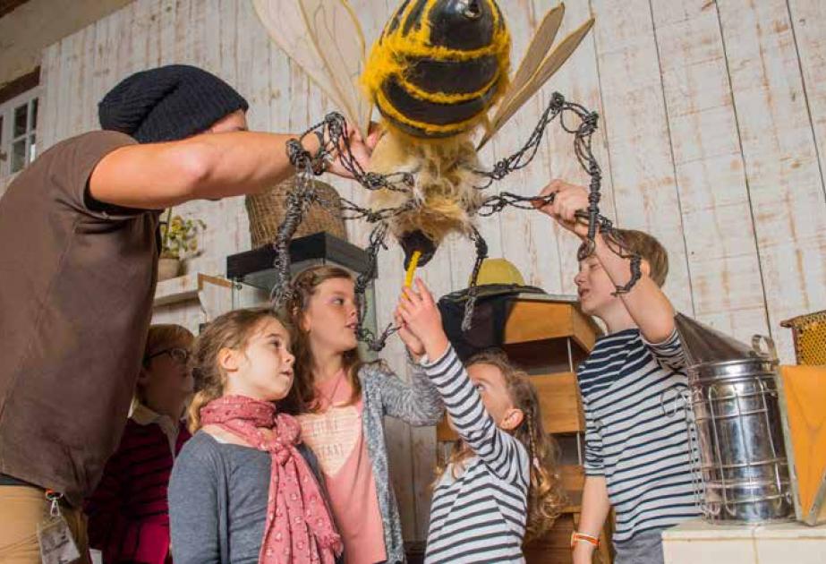 Visite à la ferme pédagogique de sartrouville pour les écoles