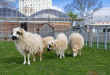 ferme urbaine proche de paris