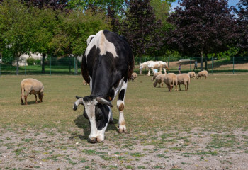 Fête du printemps à la ferme ouverte de Sartrouville