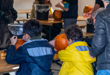 Fête de la citrouille aux fermes de gally pour halloween