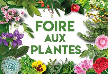 Foire aux plantes à la jardinerie de Gally à Saint Cyr l'Ecole Yvelines