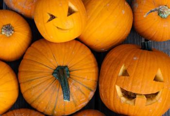 ferme de gally halloween fete de la citrouille vacances toussaint