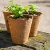 Activité jardinage à la ferme pour les enfants