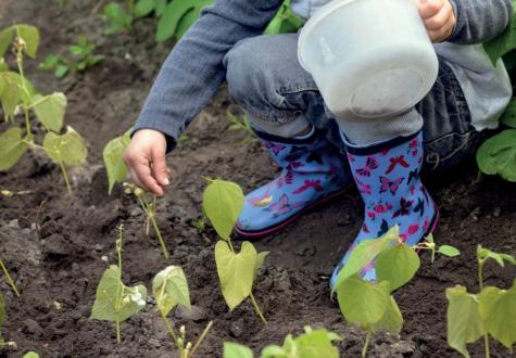 Atelier plantation enfant à la ferme