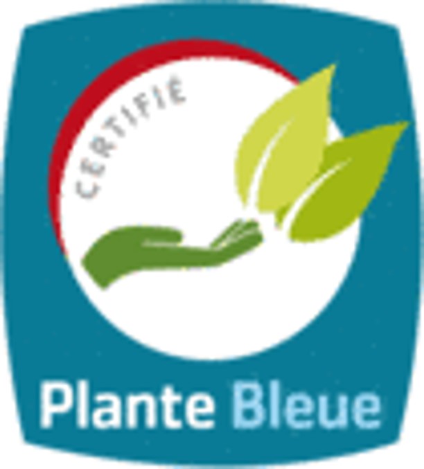 Plantes Bleues