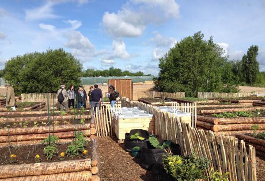 Les allées de bacs potagers