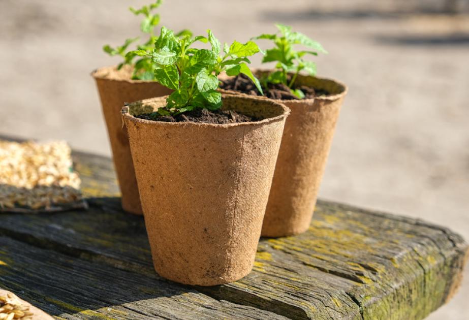 Atelier jardinage pour enfant à la ferme de gally