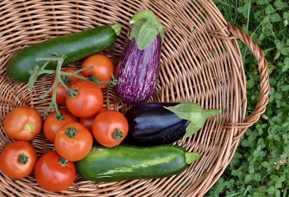 légumes d'été à cueillir à la cueillette de gally