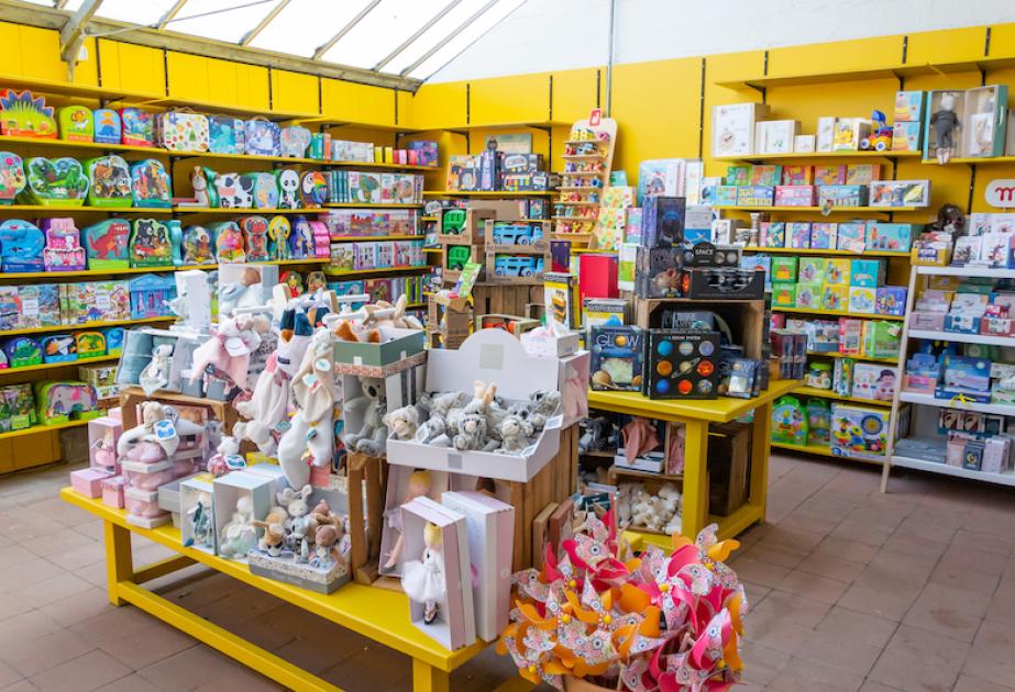 jeux et jouets pour enfants au magasin de gally de saint cyr l'ecole