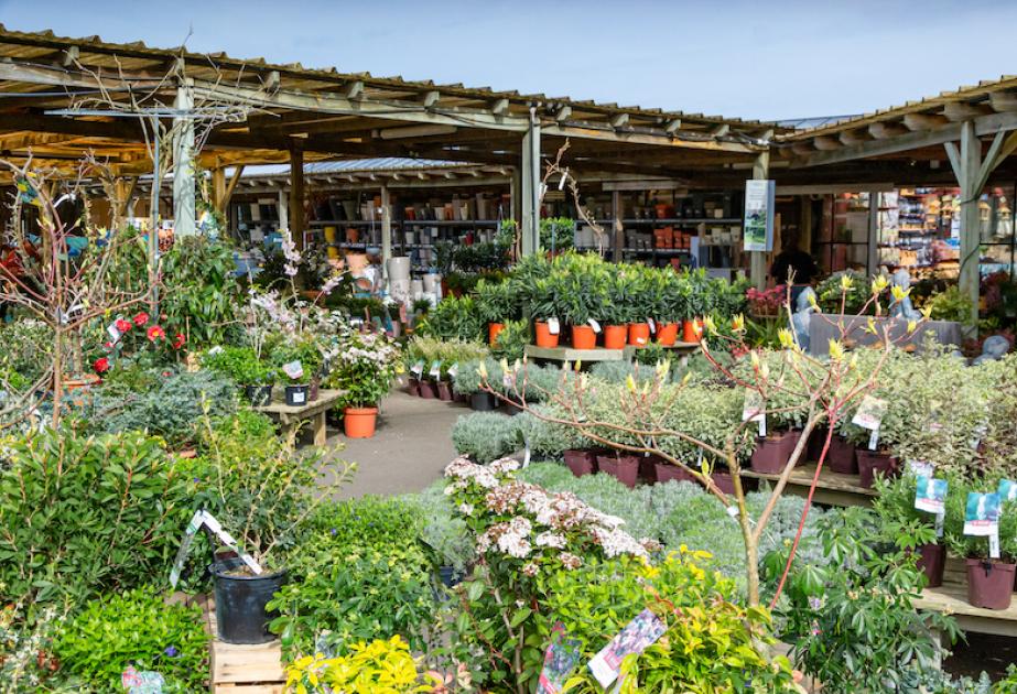 Pépinière de la jardinerie de gally à saint cyr l'ecole