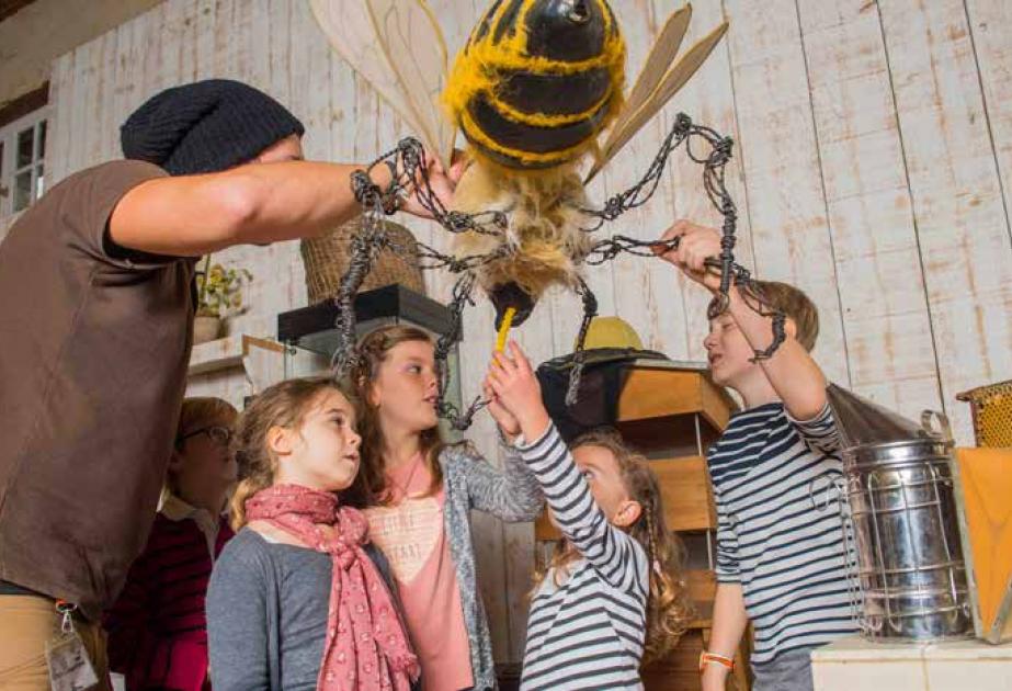 visite d'école ferme ouverte abeilles pédagogie