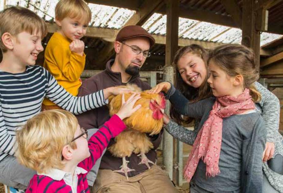 Visite groupe ferme centre de loisirs accompagnée pédagogique