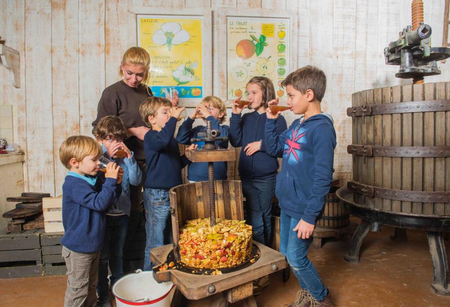 atelier jus de pommes enfant activité nature centre de loisirs