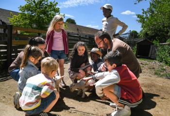 Activités enfants à la ferme ouverte de gally de saint cyr l'ecole