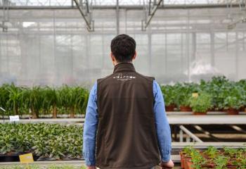 Vivaces à la Ferme Horticole Théart