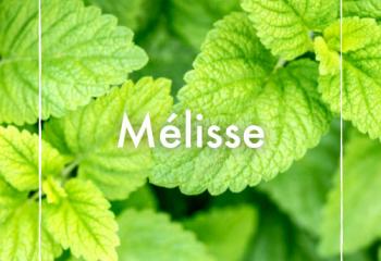 Mélisse