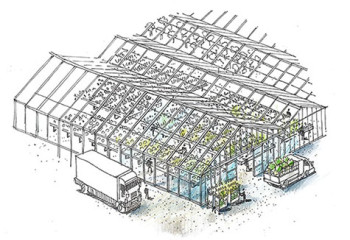 ferme horticole vente directe plantes
