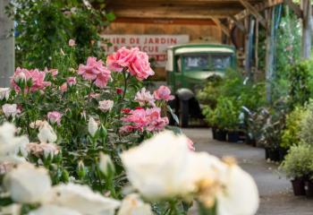 Braderie exceptionnelle jardinerie de Gally