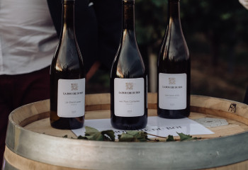 Rencontre & dégustation : Domaine de la Bouche du Roi