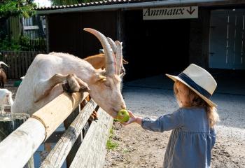 Après-Midi de Fermier à la ferme de gally de saint cyr l'ecole