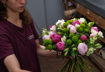 fête de la pivoine aux fermes de gally à saint-cyr-l'école