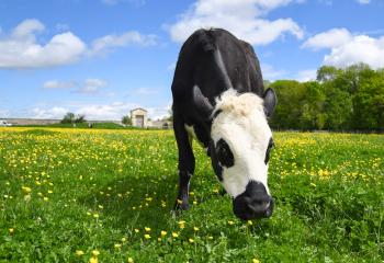 Paris 2024 : anticiper votre venue aux Fermes de Gally