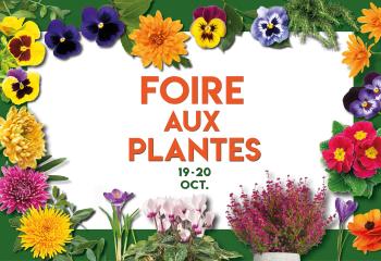 Foire aux plantes à la jardinerie de Gally à Saint Cyr l'Ecole Yvelines