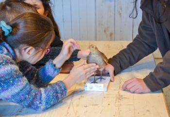 Atelier oiseaux fabrication nourrisseur oiseau Les Fermes de Gally DIY