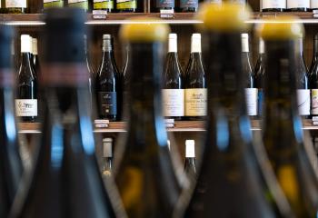 Fête des Vendanges à la Cave de Gally Saint-Cyr-l'Ecole