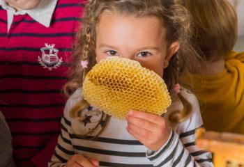 Atelier pour enfant abeille à la Ferme de Gally