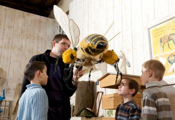 Atelier pour enfant abeille à la Ferme de Gally de Saint Cyr l'Ecole et de Sartrouville