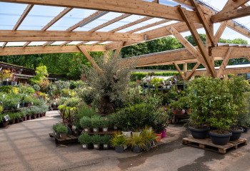 braderie à la pépinière de la jardinerie des fermes de gally