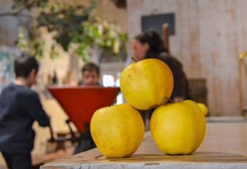 Fête de la Pomme à la Ferme de Gally de Saint-Denis