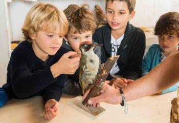 Atelier oiseaux fabrication nourisseur oiseau Les Fermes de Gally DIY