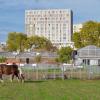 visite de la ferme de gally de saint denis