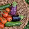 légumes d'été à cueillir à la cueillette de gally