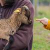 Visite soin des animaux centre de loisirs