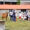 Visite à la ferme pédagogique de Saint Denis pour les écoles