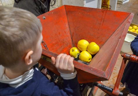 Fête de la Pomme à la Ferme de Gally de Saint-Denis