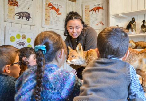 Atelier empreintes d'animaux à la Ferme de Gally