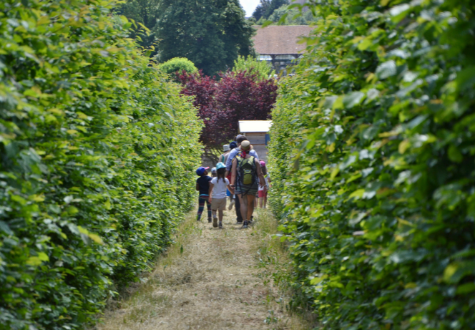 Labyrinthe plein air Fermes de Gally