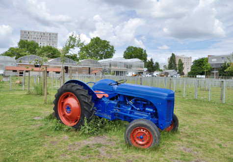 Visite de la ferme de gally à saint-denis