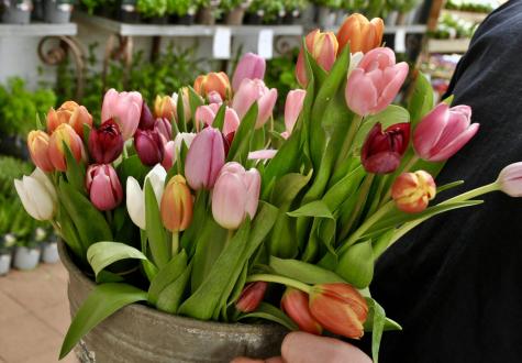 Fleuristerie de Saint Cyr l'Ecole Bouquets de fleurs