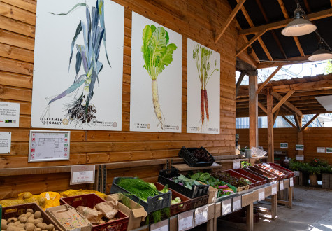 marché de fruits et légumes à la ferme de gally de saint-denis 93