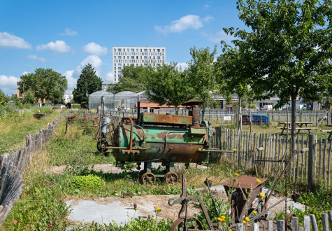 visite musée agriculture ferme urbaine de saint-denis 93