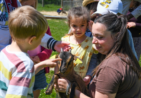 Recontre avec les animaux des fermes de gally