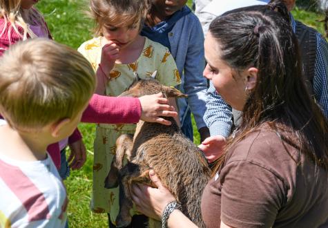 Animaux et enfants ferme urbaine saint denis anniversaire