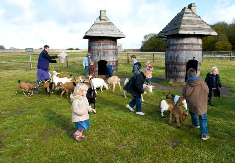 Matinée de fermier à la ferme de gally de saint cyr l'ecole